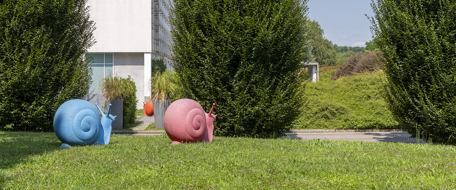 Giardino verde con simpatiche lumache giganti colorate
